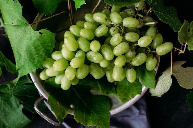 Raisins mûrs sur fond sombre