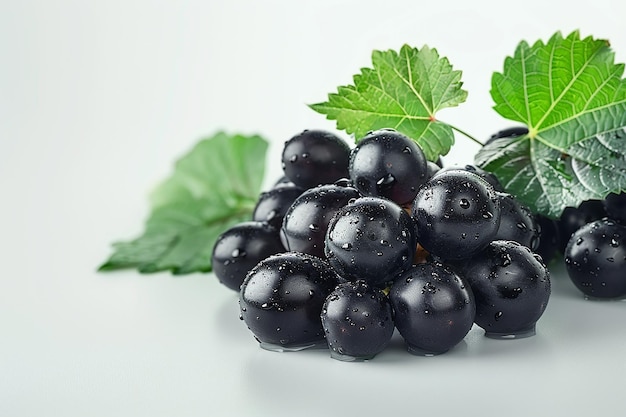 Des raisins noirs détaillés sur des raisins blancs