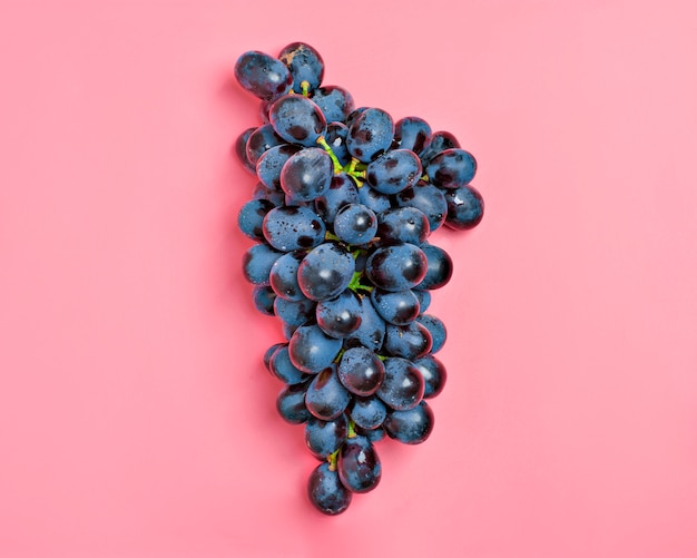 Raisins noirs juteux organiques naturels sur une tendance millénaire de fond rose Country Village A
