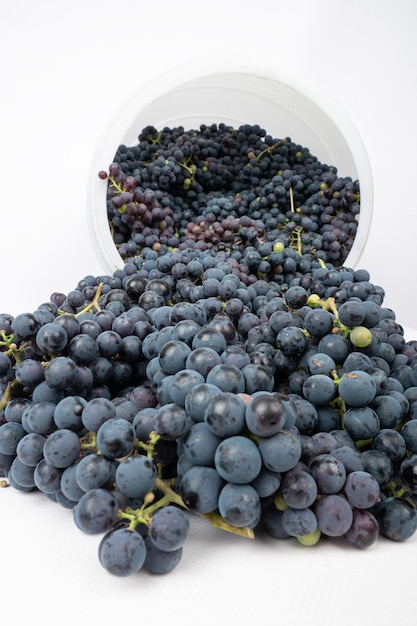 Raisins noirs pour faire du vin sur un gros plan de fond blanc