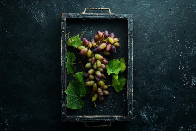 Raisins rouges frais avec des feuilles sur une table en pierre noire Vue de dessus Espace libre pour votre texte