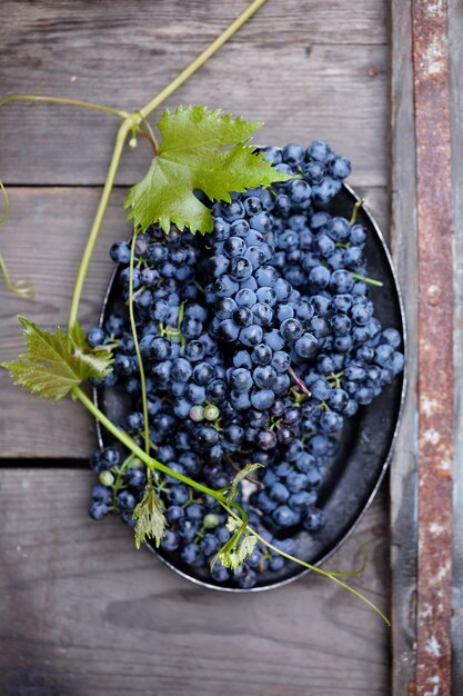 Les raisins sont un ancien cépage Cabernet Sauvignon