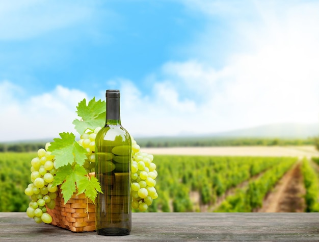 Raisins et vin devant le paysage du vignoble