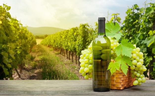 Raisins et vin devant le paysage du vignoble