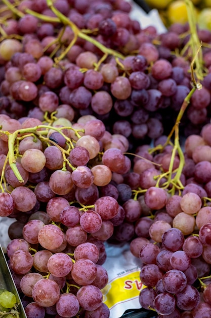 Raisins violets fraîchement cueillis Concept d'aliments sains