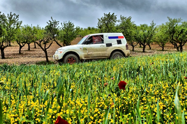 Rallye de véhicules tout-terrain x à travers le sud de l'espagne