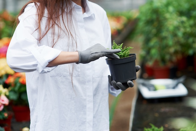 Ramasser le sol. Photo d'une fille en gants travaillant avec la plante dans le pot.