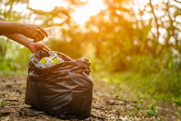 Ramassez les bouteilles en plastique dans le jardin. Environnementalisme et sensibilisation au plastique. Nettoyage des forêts.