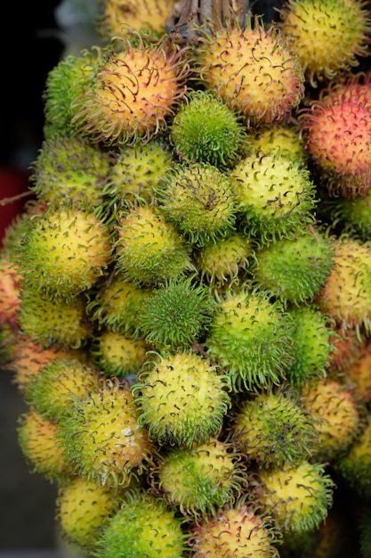 Le ramboutan est une plante tropicale appartenant à la tribu des Sapindaceae. Nephelium lappaceum. bouah tropis.