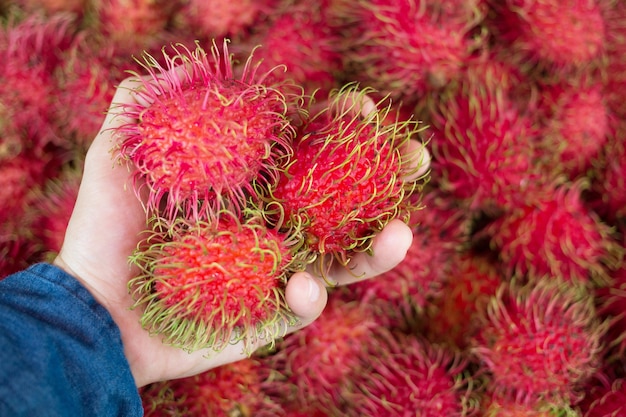 Ramboutan rouge doux sur le marché