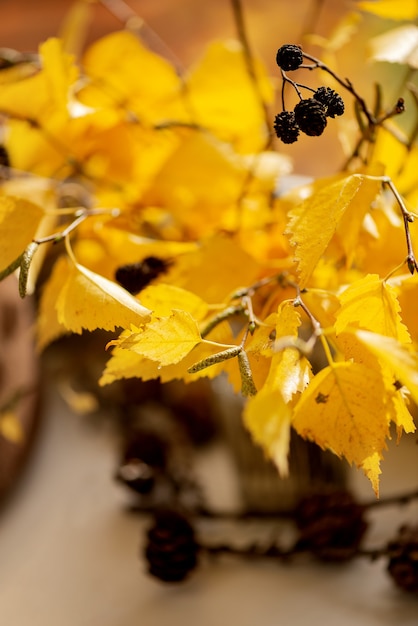 Rameaux de bouleau avec des feuilles d'automne jaunes bouquet saisonnier. Mise au point sélective