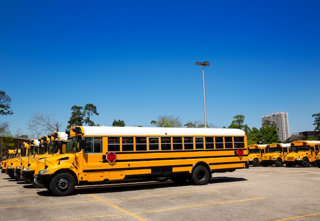 Ramer Des Autobus Scolaires Typiques Américains Dans Un Parking