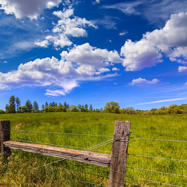 Ranch de Californie en printemps dans un ciel bleu