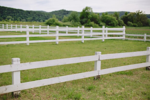 Ranch ukrainien comme un américain