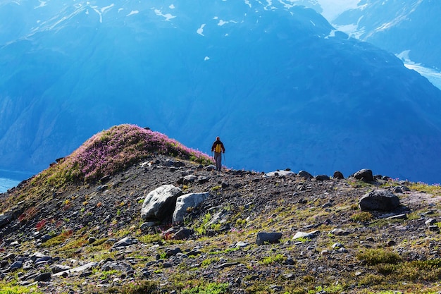 Randonnée en Alaska en été