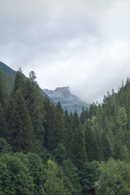 Photo randonnée en autriche