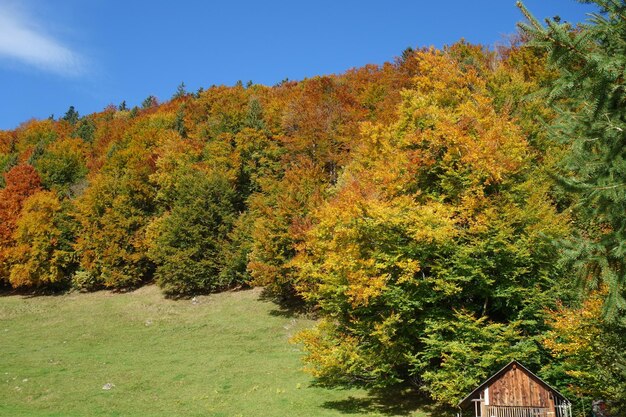 Photo randonnée en bavière