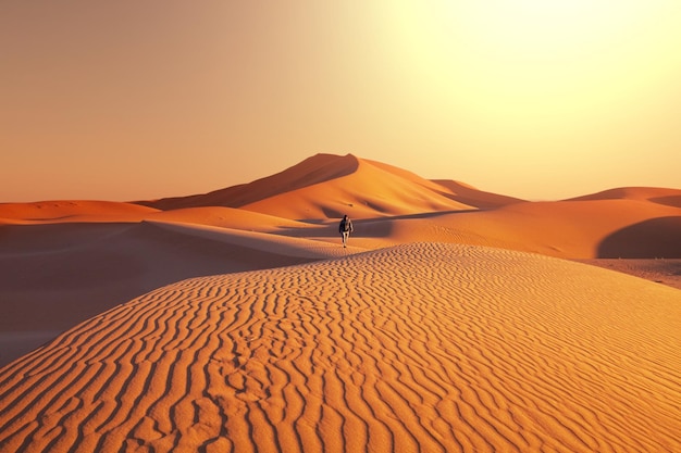 Photo randonnée dans le désert