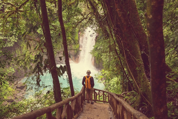 Photo randonnée dans la jungle tropicale verte, costa rica, amérique centrale