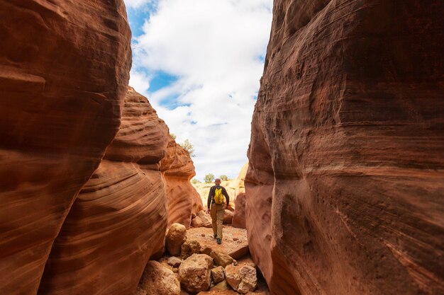 Randonnée dans les montagnes de l'Utah