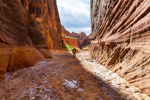 Photo randonnée dans les montagnes de l'utah