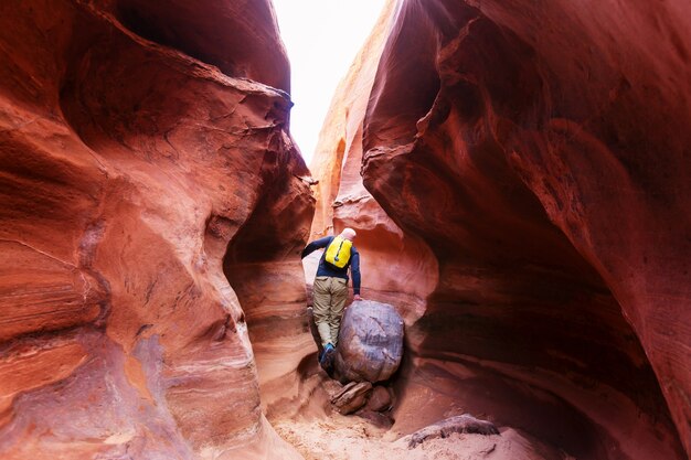 Randonnée dans les montagnes de l'Utah