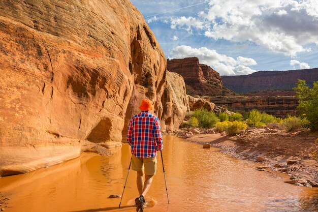 Randonnée dans les montagnes de l'Utah