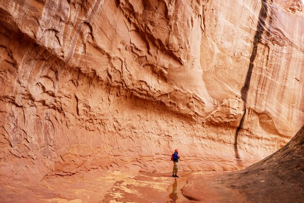 Randonnée dans les montagnes de l'Utah