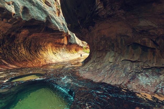 Randonnée dans le parc national de Zion