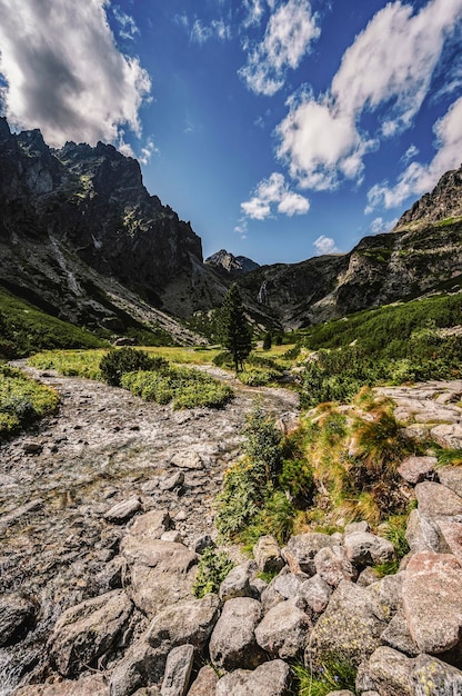 Randonnée dans la vallée de la Grande Froide velka studena dolina jusqu'au chalet Zbojnicka et au chalet teryho à travers la selle de priecne Parc national des Hautes Tatras Paysage slovaque