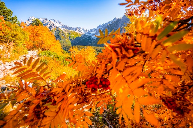 Randonnée du lac Strbske au lac Popradske destination de randonnée très populaire dans le parc national des Hautes Tatras Slovaquie couleur d'automne nature