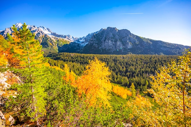 Randonnée du lac Strbske au lac Popradske destination de randonnée très populaire dans le parc national des Hautes Tatras Slovaquie couleur d'automne nature