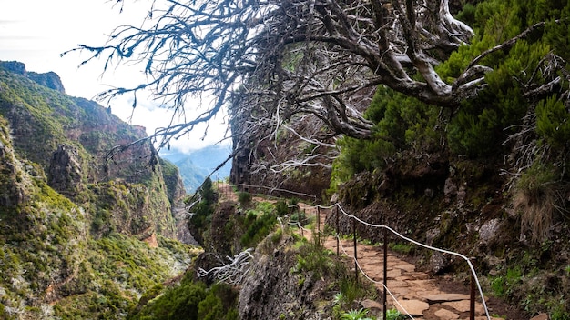 Randonnée du Pico do Arieiro au Pico Ruivo