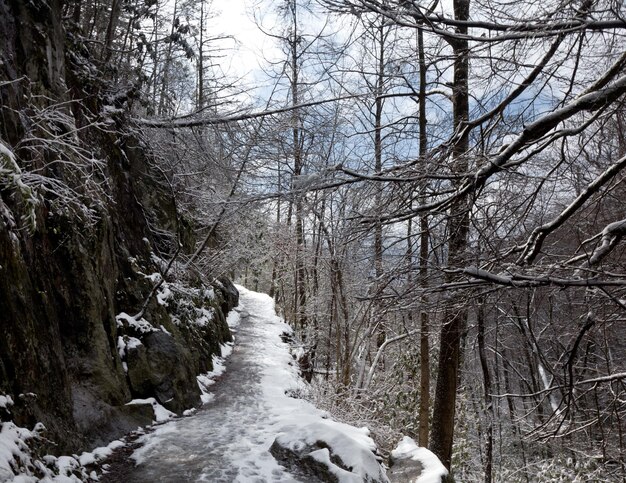Randonnée enneigée dans les Smoky Mountains
