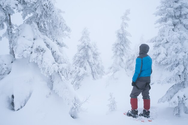 Randonnée en hiver avec des raquettes