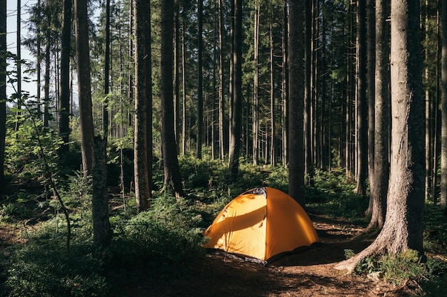 randonnée en montagne une tente biplace en forêt randonnée matinale en forêt