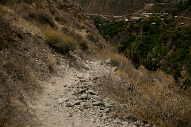 Randonnée à travers le Canyon de Colca en suivant la route de Cabanaconde à l'Oasis