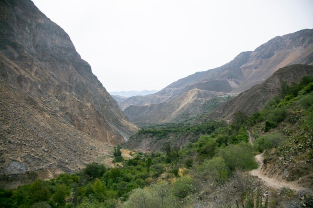 Randonnée à travers le Canyon de Colca en suivant la route de Cabanaconde à l'Oasis