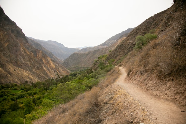 Randonnée à travers le Canyon de Colca en suivant la route de Cabanaconde à l'Oasis