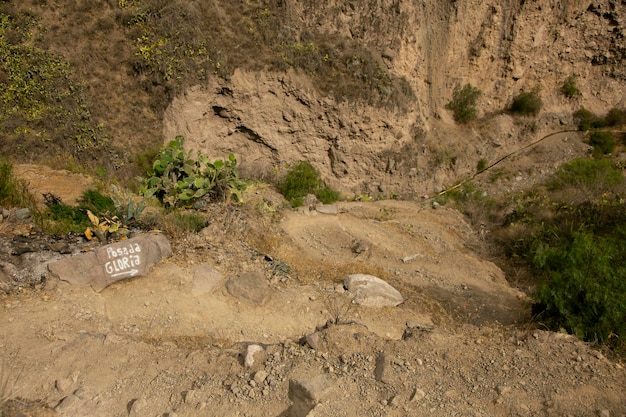 Randonnée à travers le Canyon de Colca en suivant la route de Cabanaconde à l'Oasis