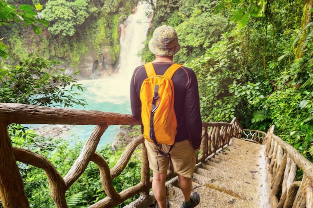 Randonnées dans la jungle tropicale verte, Costa Rica, Amérique centrale