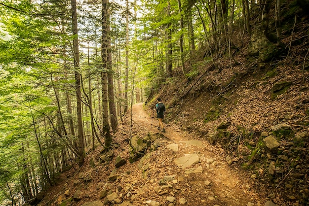 Photo randonneur femme marchant à l'intérieur de la forêt dans le parc national d'ordesa et monte perdido