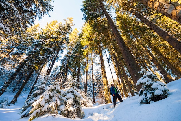 Randonneur homme dans la forêt de pins d'hiver enneigée