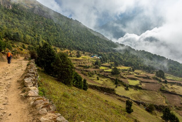 Randonneur marchant dans le village verdoyant de Khumjung près du bazar de Namche dans la région du camp de base de l&#39;Everest, Népal