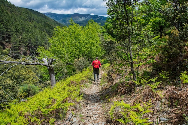 Randonneur en marche rouge dans une montagne verte