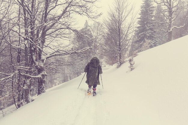 Randonneur avec raquettes en hiver