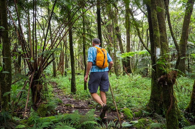 Randonneur sur le sentier dans la jungle verte, Hawaii, USA