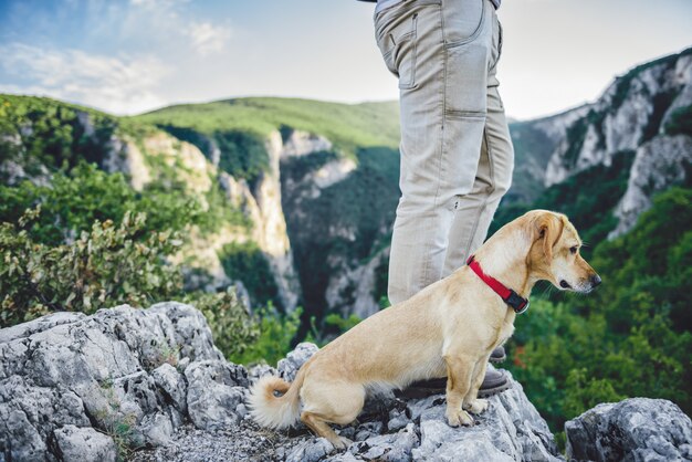 Randonneur et son chien debout au sommet de la montagne