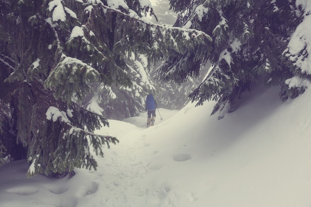 Randonneurs dans les montagnes d'hiver