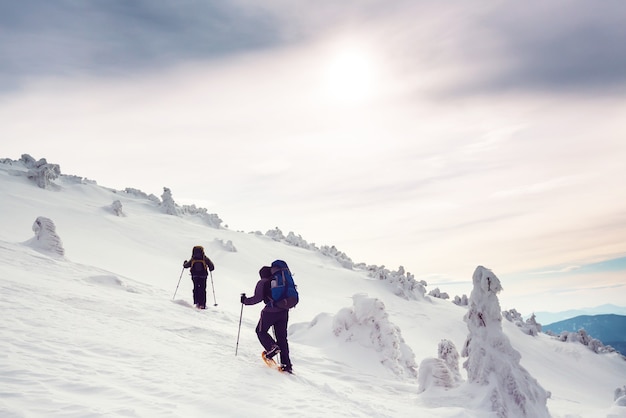 Randonneurs dans les montagnes d'hiver